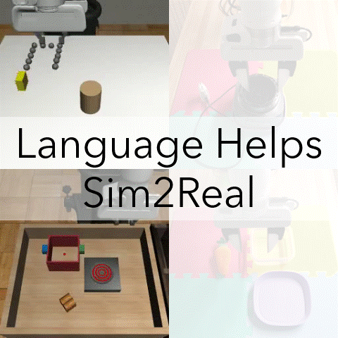 Lang4Sim2Real